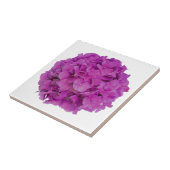 ピンクエレガントマゼンタフローラアジサイバラ タイル (側面)