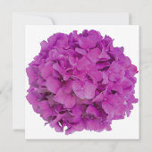 ピンクエレガントマゼンタフローラアジサイバラ 招待状 (裏面)