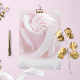 ピンクエレガントローズ開花フローラ文房具紙