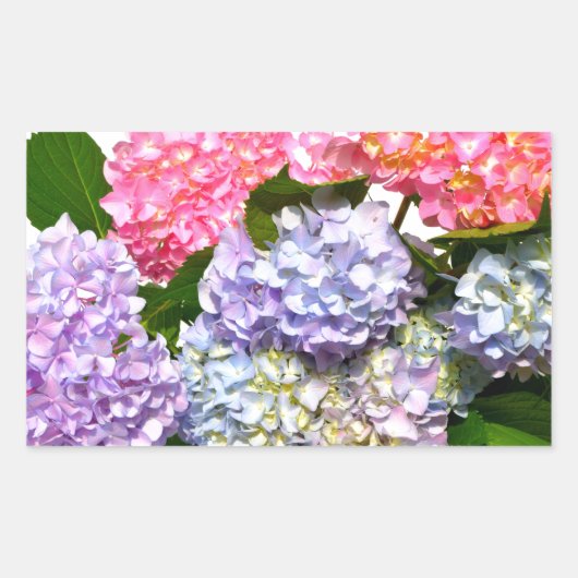 ピンクエレガント紫色の青いフローラアジサイの花束 長方形シール (正面)