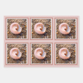 ピンクエレガント色のお祝い淡い色ので美しい貝 ラッピングペーパーシート (正面3)