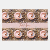 ピンクエレガント色のお祝い淡い色ので美しい貝 ラッピングペーパーシート (正面2)