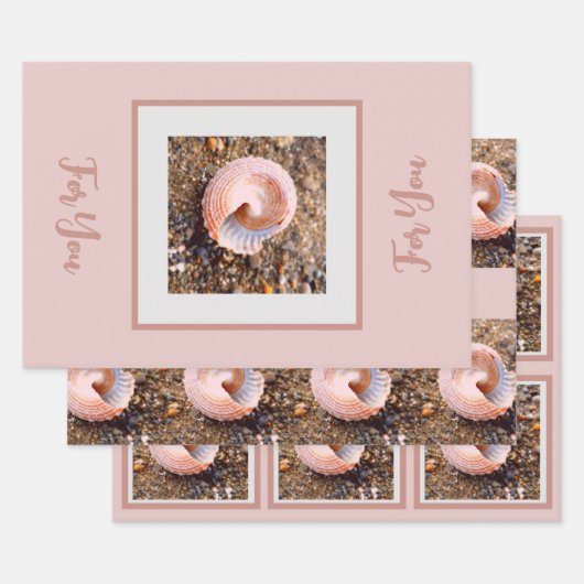 ピンクエレガント色のお祝い淡い色ので美しい貝 ラッピングペーパーシート (セット)