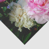 ピンクエレガント色の白い牡丹フローラ園写真 薄葉紙 (詳細)