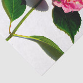 ピンクエレガント花模様ピンクあじさい 薄葉紙 (詳細)