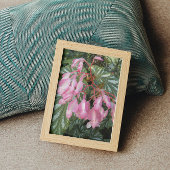 ピンクエンジェルウィングベゴニアフラワーズフローラ フォトプリント