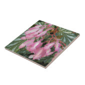 ピンクエンジェルウィングベゴニアフローラ タイル (側面)