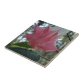 ピンクエンジェルズトランペットの花 タイル (側面)