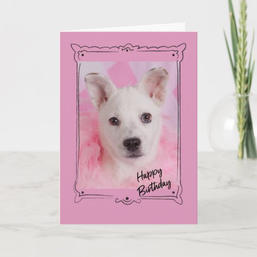 ピンクエンジェル誕生日カード カード (正面)