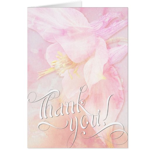 ピンクオダマキ（植物）フラワーウォーター色スプラッシュ (正面)