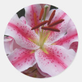 ピンクオリエンタルリリーフローラ ラウンドシール (正面)