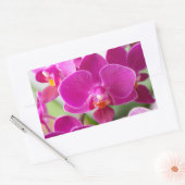 ピンクオーキッドフラワー – フローラランテンプレート 長方形シール (封筒)