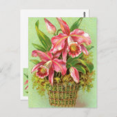 ピンクオーキッドフラワー ポストカード (正面/裏面)