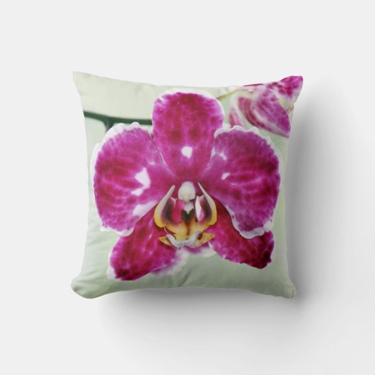 ピンクオーキッド クッション (正面)