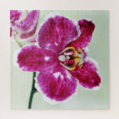 ピンクオーキッド ジグソーパズル (縦)