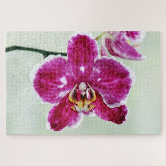 ピンクオーキッド ジグソーパズル (横)