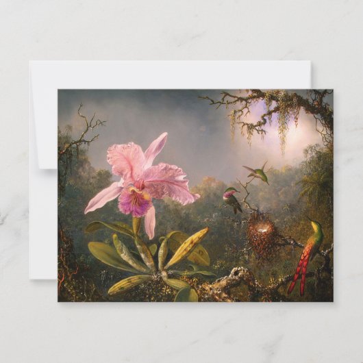 ピンクオーキッド&スリーハミングバード招待状 招待状 (正面)