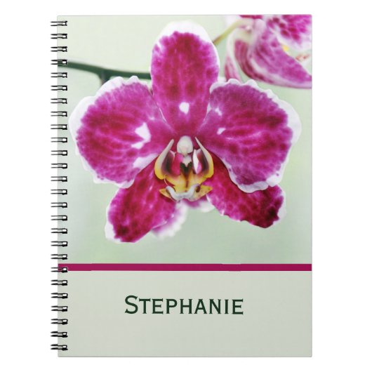 ピンクオーキッド ノートブック (正面)