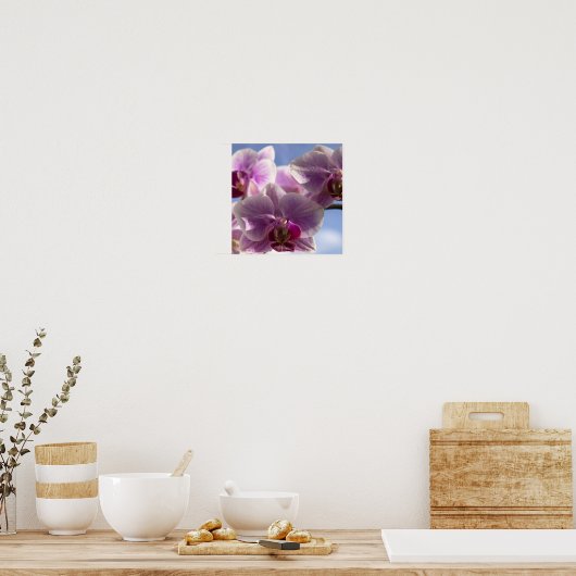 ピンクオーキッド ポスター (キッチン)