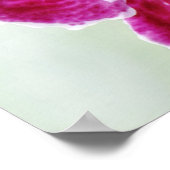 ピンクオーキッド ポスター (角)