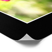 ピンクオーキッド ポスター (角)