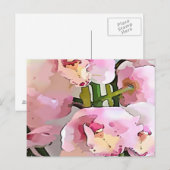 ピンクオーキッド ポストカード (正面/裏面)