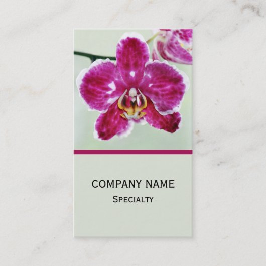 ピンクオーキッド 名刺 (正面)