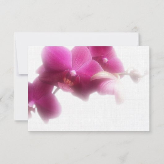 ピンクオーキッ結婚トの応答カード 出欠カード (裏面)