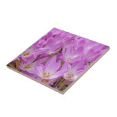 ピンクオータムクロカス開花フローラ タイル (側面)