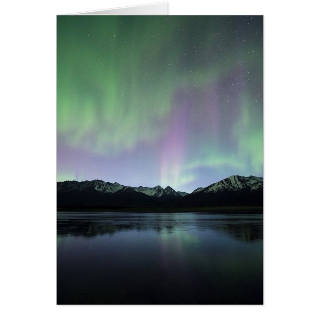 ピンクオーロラ (正面)