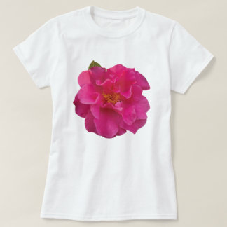 ピンクカメリアの花のグラフィックTシャツ Tシャツ