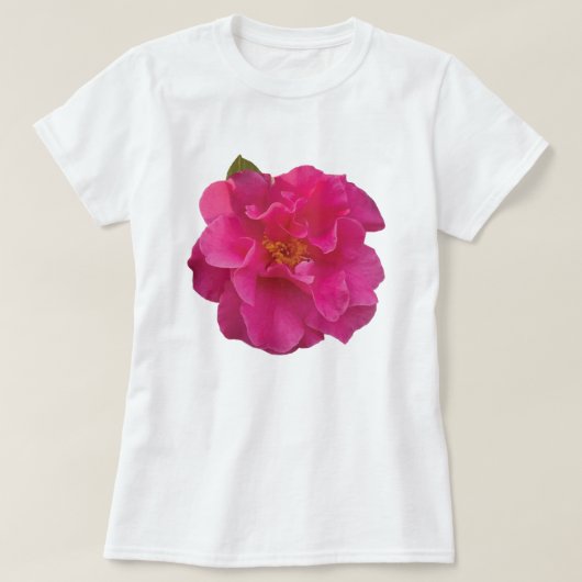 ピンクカメリアの花のグラフィックTシャツ Tシャツ (デザイン正面)