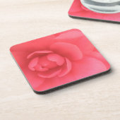 ピンクカメリア コースター (左側)