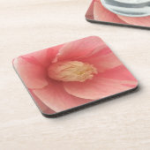 ピンクカメリア コースター (左側)