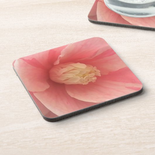 ピンクカメリア コースター (左側)