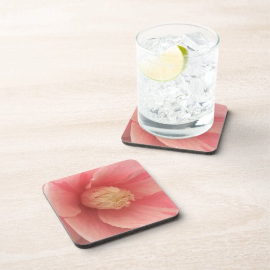 ピンクカメリア コースター (右側)