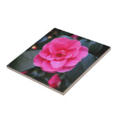 ピンクカメリア タイル (側面)