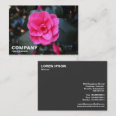 ピンクカメリア 名刺 (正面/裏面)
