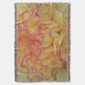 ピンクカラフルと黄色のカーネーションの花 スローブランケット (正面縦)