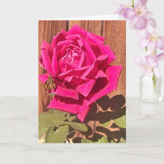 ピンクカラフルエレガントのフローラピンクの花 カード (蘭)