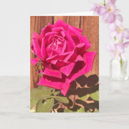 ピンクカラフルエレガントのフローラピンクの花 カード