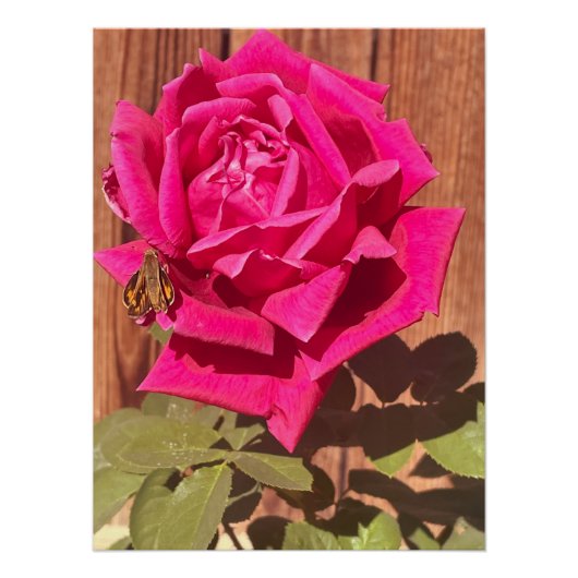 ピンクカラフルエレガントのフローラピンクの花 ポスター (正面)