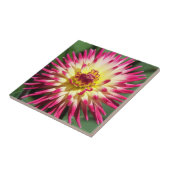 ピンクカラフルカクタスダリア開花フローラ タイル (側面)
