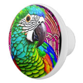 ピンクカラフルバックの前のオウムイラストレーション セラミックノブ (右)