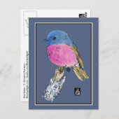 ピンクカラフルロビン小鳥 ポストカード (正面/裏面)