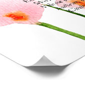 ピンクカラユリ着座図9テーブルフォームボード ポスター (角)