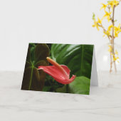 ピンクカラリリーエレガントフローラ カード (黄色い花)