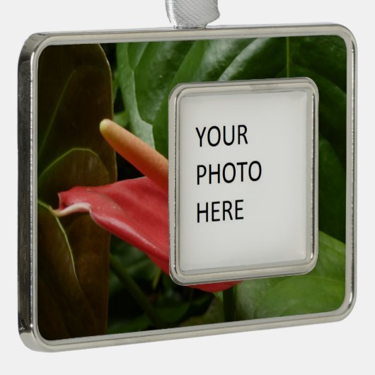 ピンクカラリリーエレガントフローラ シルバープレートフレームオーナメント (右)