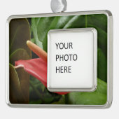 ピンクカラリリーエレガントフローラ シルバープレートフレームオーナメント (左)