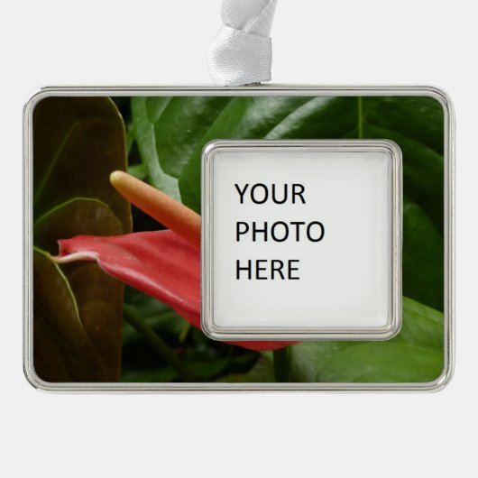 ピンクカラリリーエレガントフローラ シルバープレートフレームオーナメント (正面)